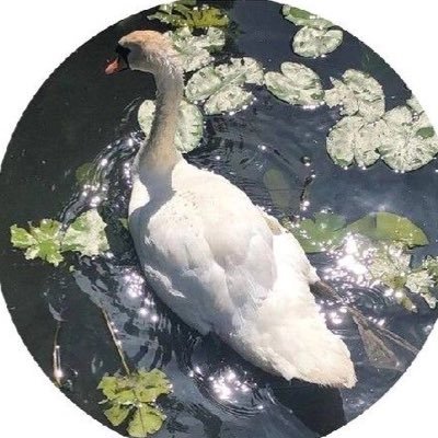 Sunshiine3_'s profile picture. Dentistry |🪥🦷