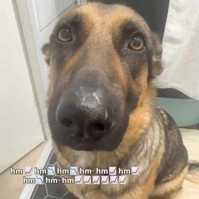 olvg20's profile picture. Hello