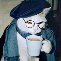 The Book (@the_book_man_) 's Twitter Profile