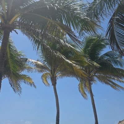 Matildamassi's profile picture. Nada es lo que ves;  lo que no ves; es.