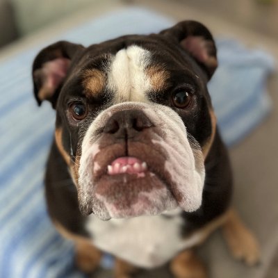 Joshin_Around's profile picture. 