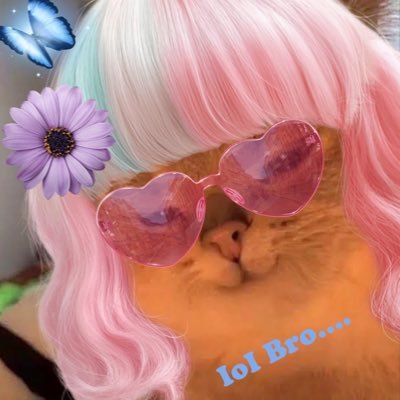 ✨✨✨(=◍․̫◍=) G𝕺𝕿7 𝕮𝖔𝖒𝖊𝖇𝖆𝖈𝖐 (=◍․̫◍=)✨✨✨✨ 💚🏝🐰🐢🍑🌙🐍🐜💚 (っ◔◡◔) っ 💚♥️🐶🅿🅸🅿🅿🅾 🅽🅰🅼🅸🦊♥️💚 Fan Account