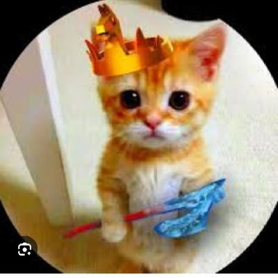 Nathan65983's profile picture. hello i am Nathan im in France but is the 1st time then all of u go follow on twitter 🐦 pls follow on me ❤️😄
