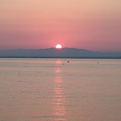 AngelSanchezTin's profile picture. 