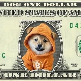 jek_learn's profile picture. crypto entusiast