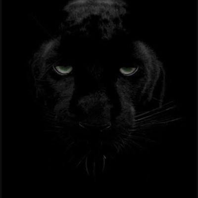 Rickeysymen7771's profile picture. 