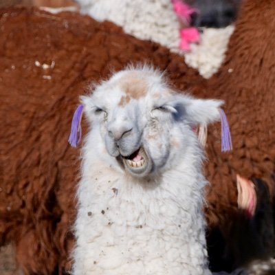 its2no's profile picture. 