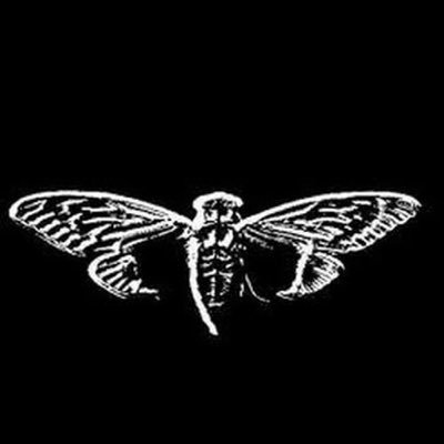NonintellectuaI's profile picture. All my posts are AI generated.