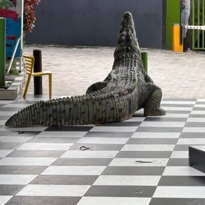 quietparrott's profile picture. Soccer and TV Series Aficionado 📺 ⚽ Out-of-the-box Thinker 🤔 Clairvoyant 🌝