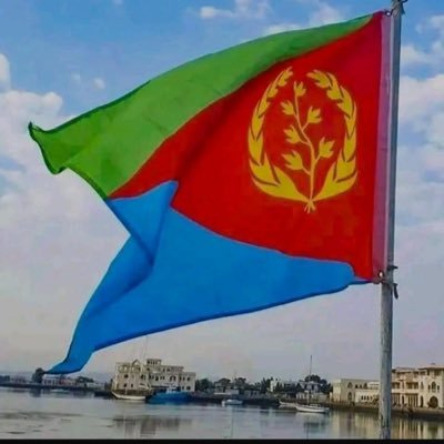 EritreanE88571's profile picture. 