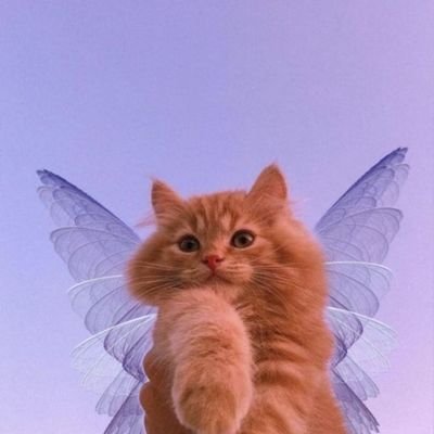 MASHUMARO_sz's profile picture. timelesz/more.../💜みんなすき