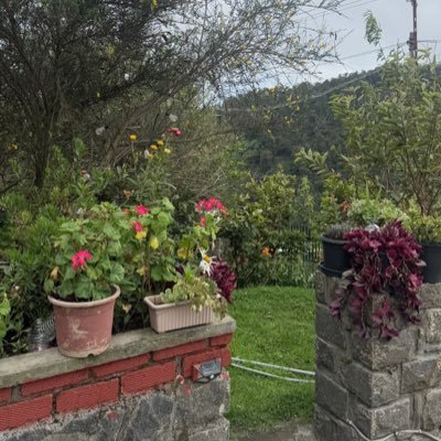 devilal20's profile picture. never believe