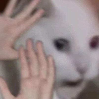 happydoggo_'s profile picture. 