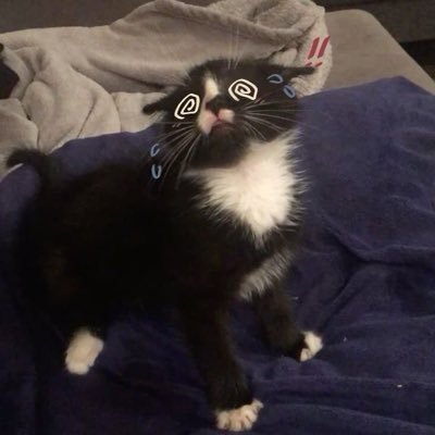 rounbb's profile picture. GG 🍔