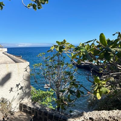 Ulises20024's profile picture. 