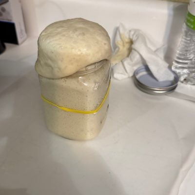 HaughHaley's profile picture. living in my grandma era