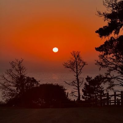 lambat_________'s profile picture. Only one TOPBOY in my area