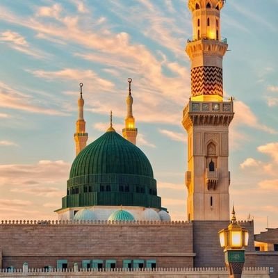 ماجد القحطاني Profile