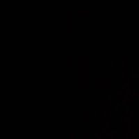 focused (@_gentis) 's Twitter Profile