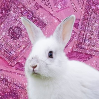 CryptoBunny_xo's profile picture. Crypto🐰 | Degen with Soul.