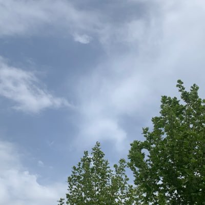 alaaumar's profile picture. ❤️☀️💚