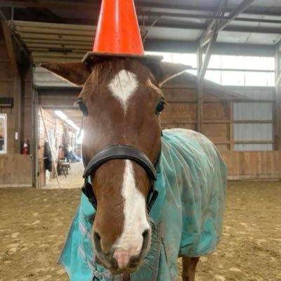 shaxx146393's profile picture. 19, born may 20 ‘06