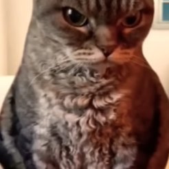 YamazakiKe39239's profile picture. どんな記憶だって１週間後には消えているのかも