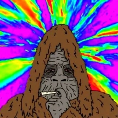 tripscoin's profile picture. Hello Crypto fam!!#TRIPS #PUUSH OR #PUULL 
https://t.co/BED170D5aD WE ARE FULLY BONDED 
FISRT EVER JUNE 7/2024 
12:58 AM