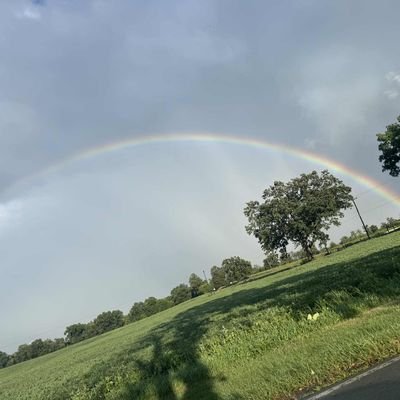 DavidWatters126's profile picture. 