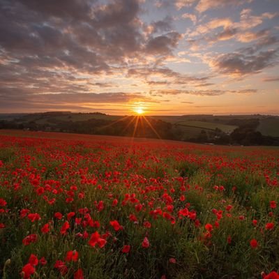 potatties9019's profile picture. 