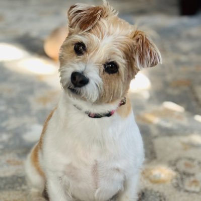 kmsJersey's profile picture. 🙈🙉🙊 No method...only madness!