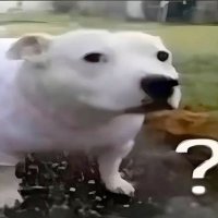 π΅ππππ β (@pipinotttee69) 's Twitter Profile