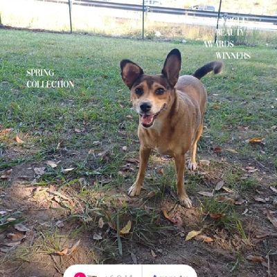 inesmiranda496's profile picture. 