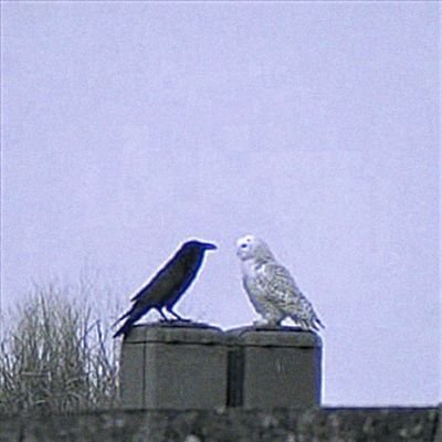 KiUTE004's profile picture. Whatever the Sun touches is yours!