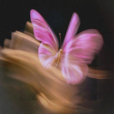 iloveaz214's profile picture. 