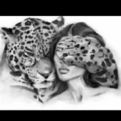 Mjlmsr's profile picture. 