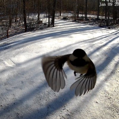 FrommGreg's profile picture. Professional Golfer