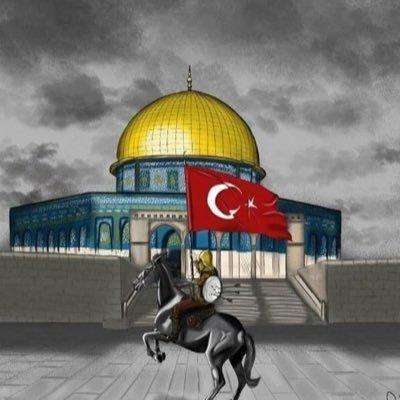 Zipporah313's profile picture. 