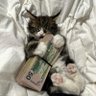 spl_grant's profile picture. Always double check 
and dont get too greedy