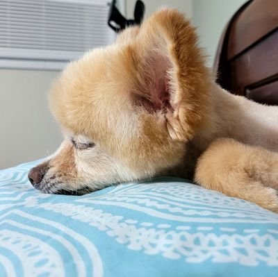 ClaytonPKruger's profile picture. 