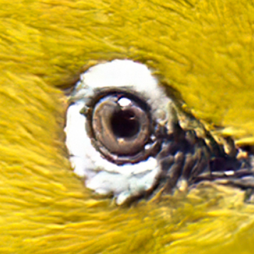 atitude732's profile picture. Toujours sérieux.

Ce qui ne l'est pas.