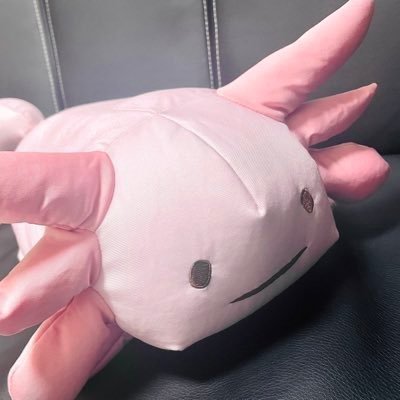 きさんのプロフィール画像