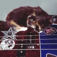 zaja 🏴 (@riotnnoise) 's Twitter Profile