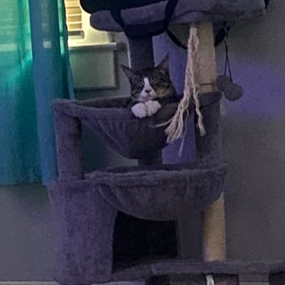 Finnese28904's profile picture. 