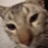 fadhlityan (@_tyaann) 's Twitter Profile