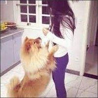 Elisa (@q2t8s1414gh8ro3) 's Twitter Profile