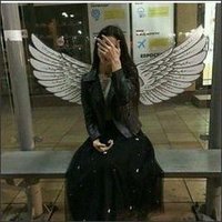 DeirdreBarrie (@hwucoawbcrf881f) 's Twitter Profile