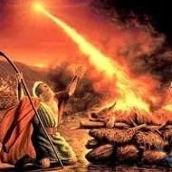 mostnobleone's profile picture. 