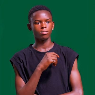 BenjaminD_000's profile picture. Web developer |  App Developer | AI & ML