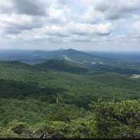 forestfun (@forestfunxc) 's Twitter Profile